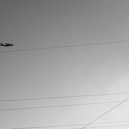 Photo #11889246