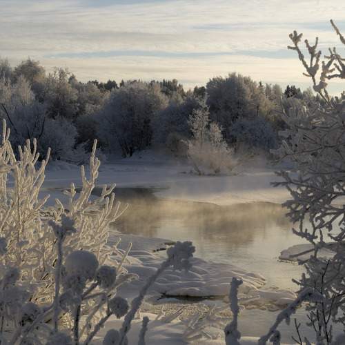 Photo #11889382