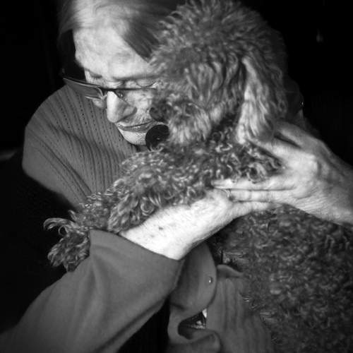 Photo #11889525