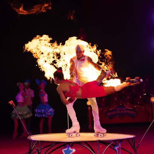 Photo #11889553