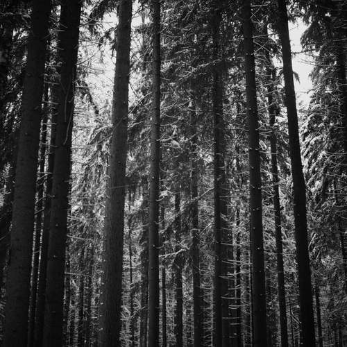 Photo #11889692