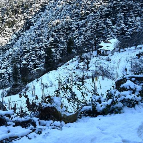 Photo #11889845