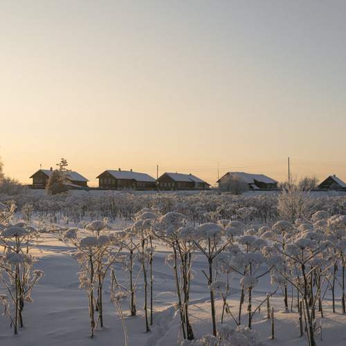 Photo #11890155