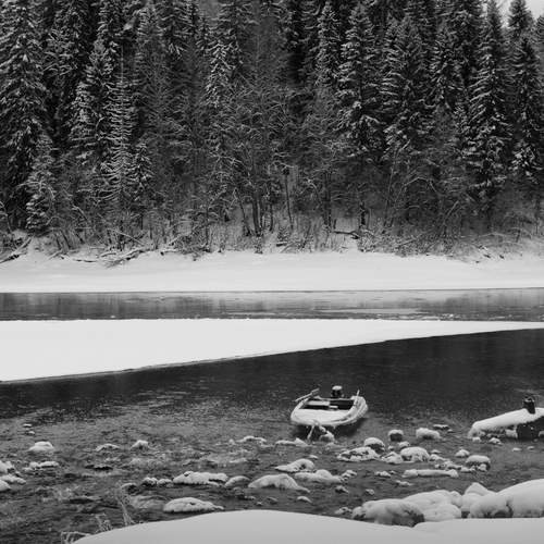 Photo #11890157