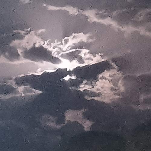Photo #11890212
