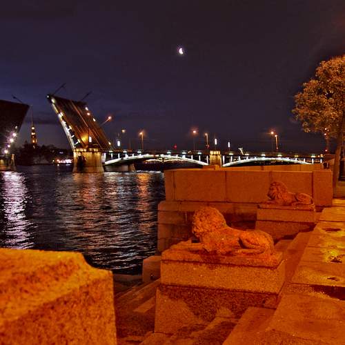 Photo #11890388