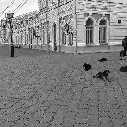 Photo #11890460