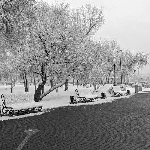 Photo #11890462
