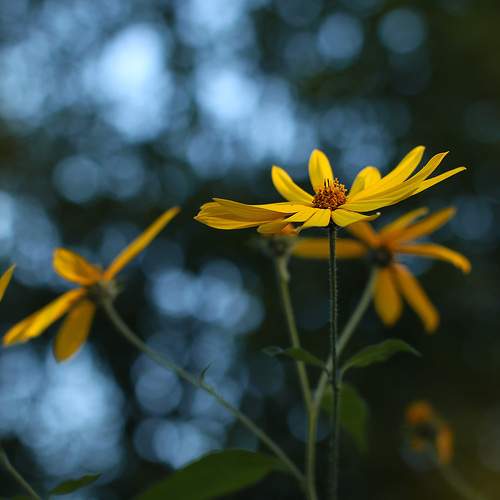 Photo #11890523