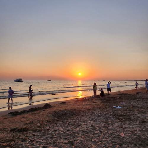 Photo #11890541
