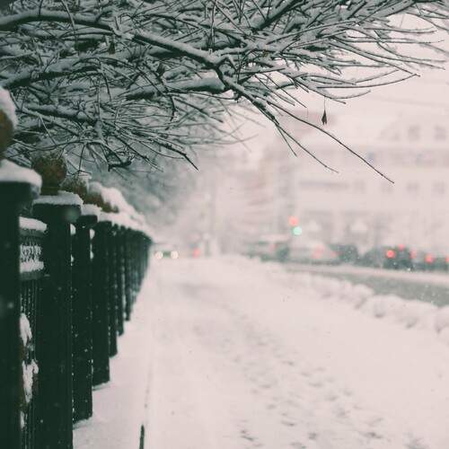 Photo #11890579