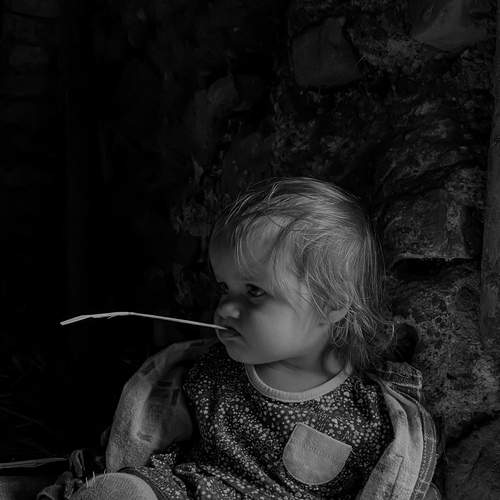 Photo #11890598