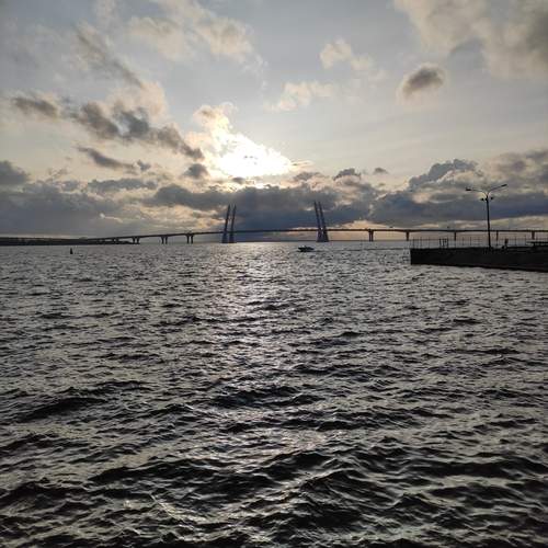 Photo #11890983