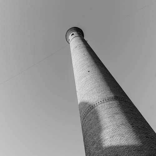 Photo #11891000
