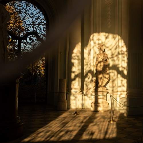 Photo #11891022