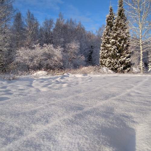 Photo #11891314
