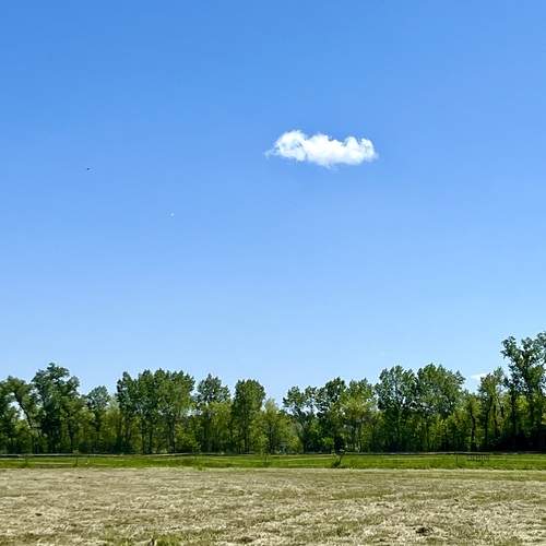 Lonley in the sky