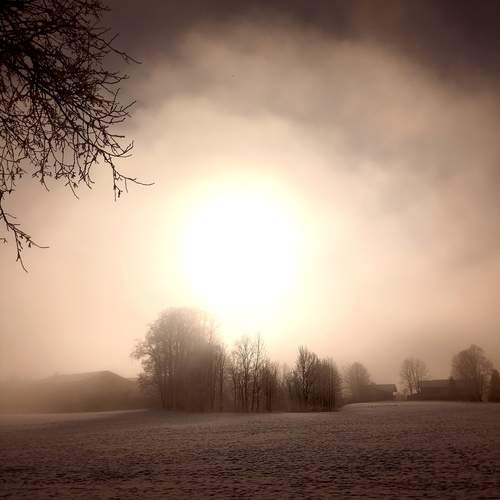 Photo #11891395
