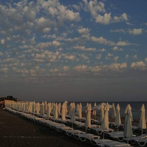 Photo #11891627