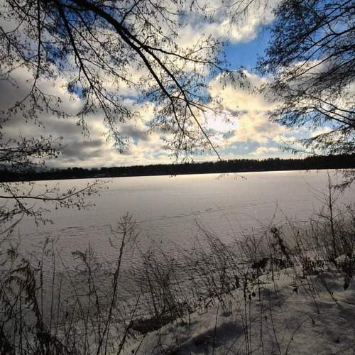 Photo #11892026