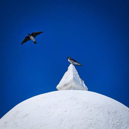 Photo #11892129