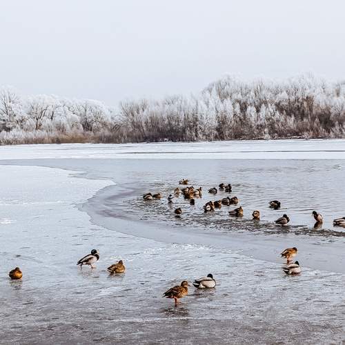 Photo #11892148