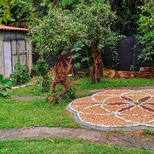 Photo #11892166