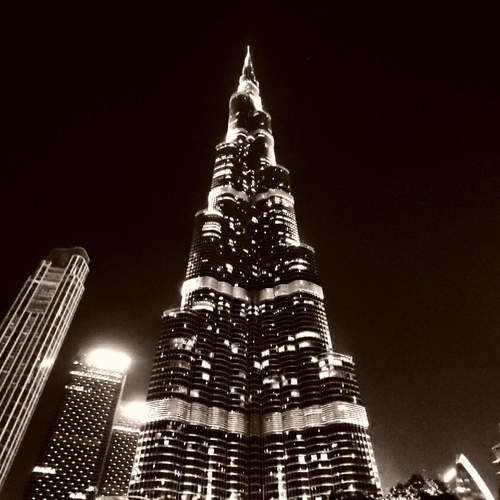 Photo #11892320