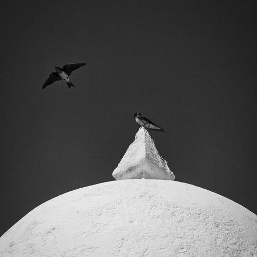 Photo #11892327