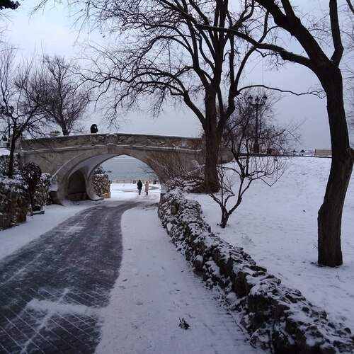 Photo #11892387