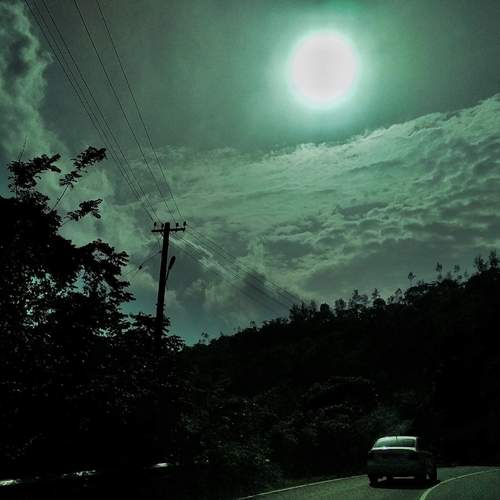 Photo #11892463