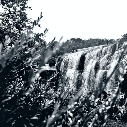 Photo #11892464