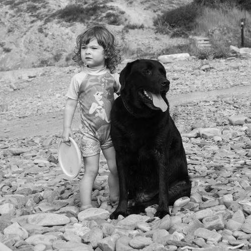 Photo #11892481