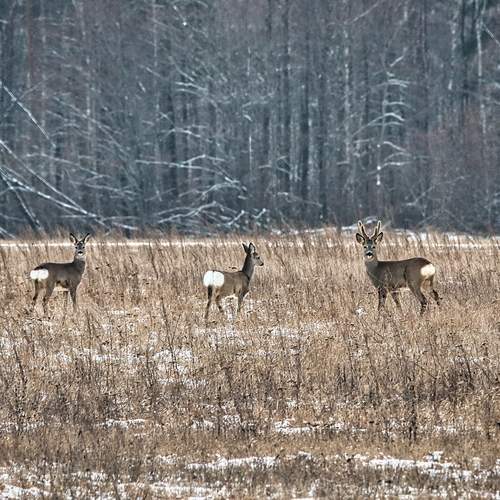 Photo #11892560