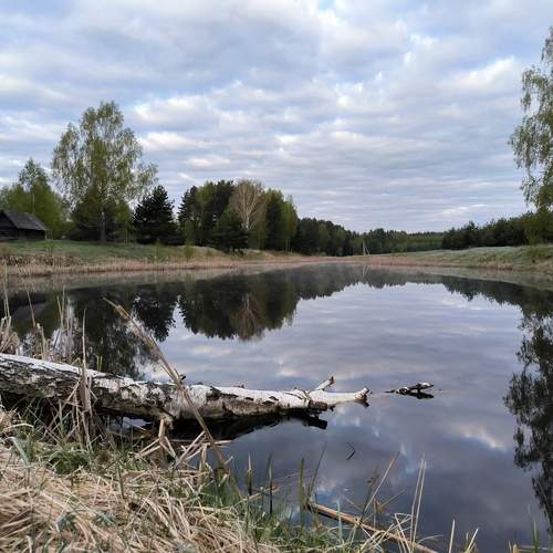 Photo #11892762