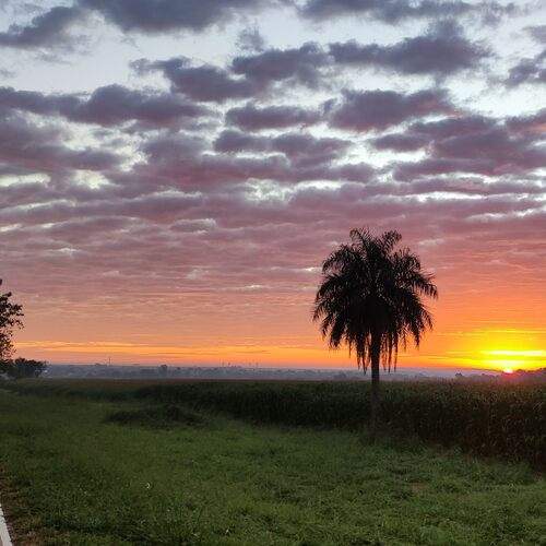 Photo #11892764