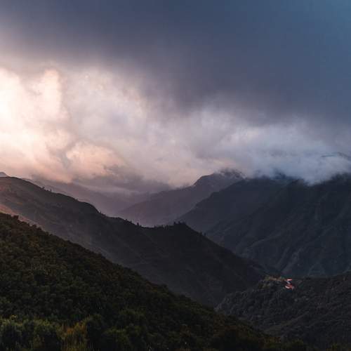 Photo #11892806