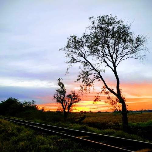 Photo #11892872