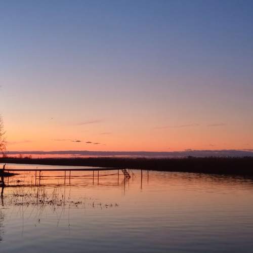 Photo #11892940