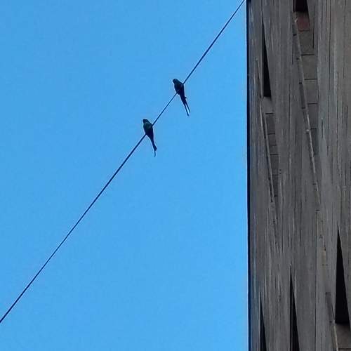 Рискующие Risk-takers