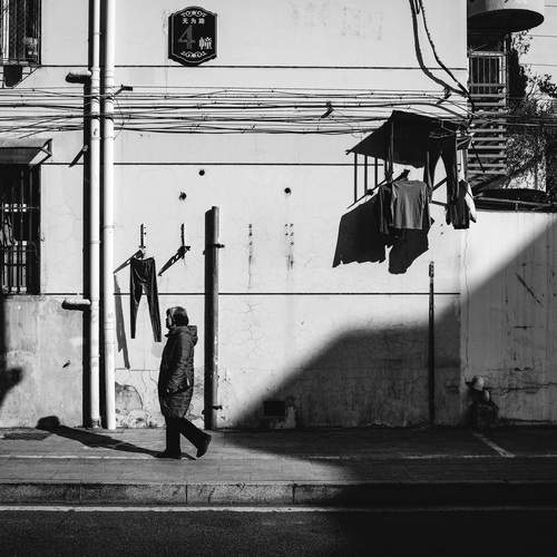 Photo #11893064