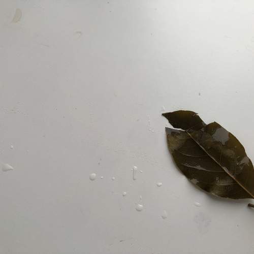 Photo #11893082