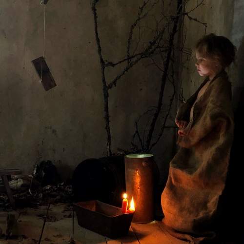 Photo #11893207