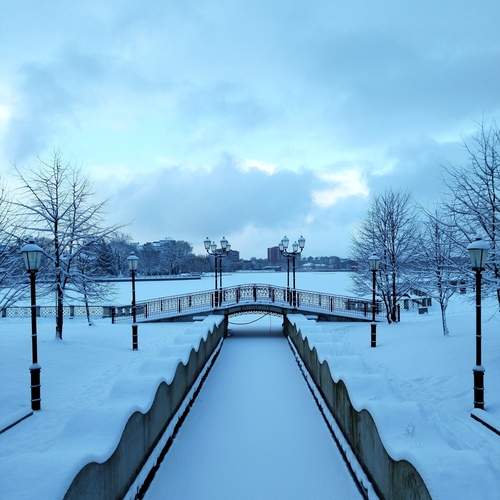 Photo #11893282