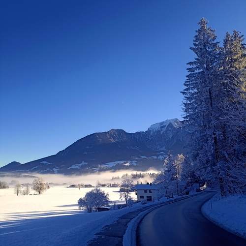 Photo #11893283