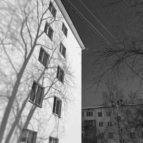 Photo #11893498