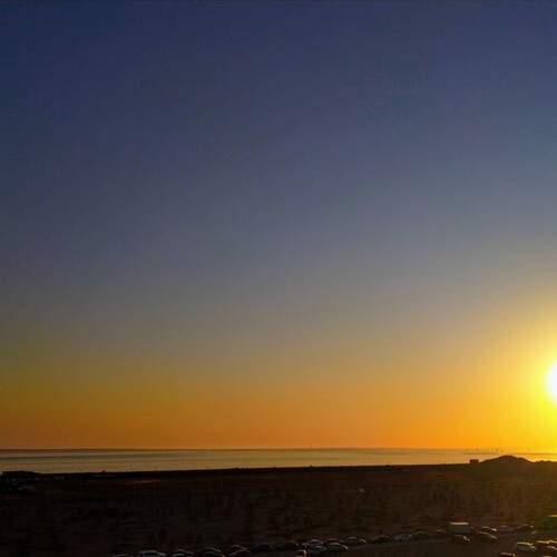 Photo #11893762