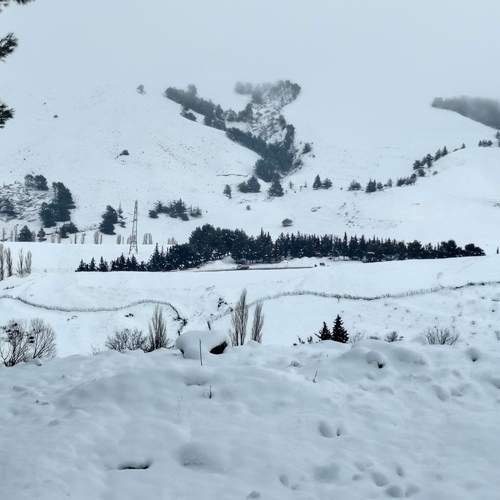 Photo #11893878