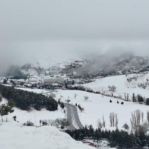 Photo #11893881