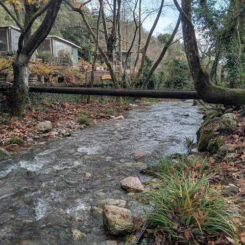 Photo #11893939